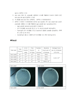 [미생물학 실험보고서] serial dilution-2
