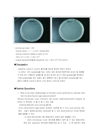 [미생물학 실험보고서] serial dilution-3