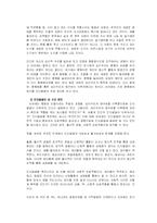 [아동발달]피아제의 인지발달이론-4