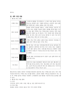 핸드폰튜닝 사업계획서-2