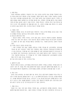 핸드폰튜닝 사업계획서-3