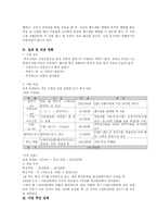 핸드폰튜닝 사업계획서-4