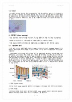 실험 6주차_박테리아 동정 결과 Report-3