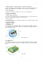 실험 5주차_동물세포 및 식물세포의 관찰 결과 Report-6