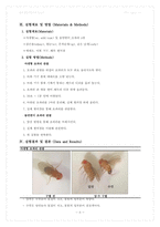 실험 13주차_야생형 및 돌연변이 초파리 관찰 결과 Report-6