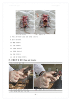 마우스의 해부 및 기관 관찰 결과 Report-6