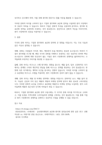각국의 문화 차이가 기업의 현지화, 표준화 전략에 미치는 영향에 대하여-4