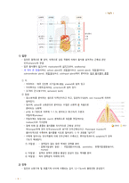 필기 정리-생물학-17