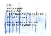 [교통문제]교통문제와 해결책-14