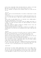 [경영학]21세기 새로운 경영패러다임-13