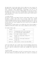 [경영학]21세기 새로운 경영패러다임-14