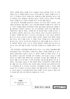 [마케팅] 동서식품 `맥심`과 한국네슬레 `테이스터스 초이스`의 경쟁 분석-15