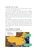 [국제경영] 아이리버 I-River Dicple(딕플) 의 중국진출전략-7