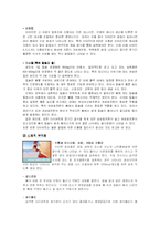 다이어트 실태와 부작용의 해결방안-12