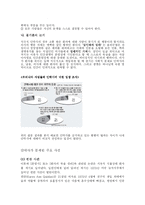 가톨릭에서 바라 본 안락사-5