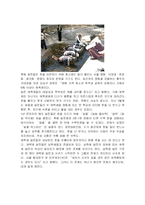 폭력적 문화와 생명 경시-16