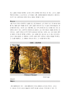 [프랑스 시] 낭만주의의 시간성-6