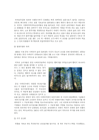 [환경] 웰빙으로서의 채식-7