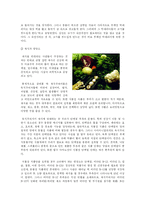 [환경] 웰빙으로서의 채식-10