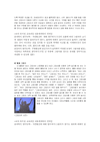 [유아교육] 빛과 그림자 활동 교육계획안-3