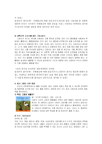 [유아교육] 빛과 그림자 활동 교육계획안-4