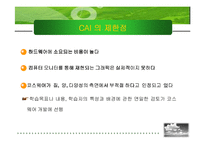 [교육공학]CAI(컴퓨터 교육적활용)-6