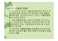 [폐기물처리공학]재활용처리 현황및 개선방안-3