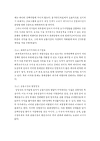 [경제학] 물가안정목표제 특징 및 제반사항과 구체적 시행-8