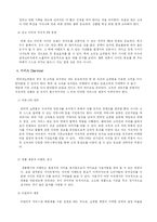 [패션마케팅] 인터넷 쇼핑몰의 분석과 발전 전망-14