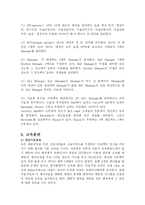 [인적자원관리] 아웃백 스테이크 시스템 운영 체계와 그 성공 전략-6