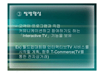[디지털문화]디지털 방송문화-15