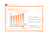 삼양라면 마케팅 사례 연구-10