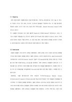 [해외시장조사론] 엘라스틴의 성공전략-6