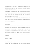 [해외시장조사론] 엘라스틴의 성공전략-7