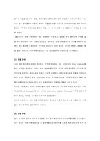 [해외시장조사론] 엘라스틴의 성공전략-10
