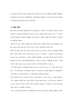 [해외시장조사론] 엘라스틴의 성공전략-11