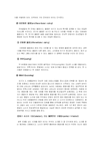 [아동발달] 영아기의 지적발달-13
