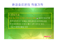[환경오염]환경호르몬 피해와 대책-8
