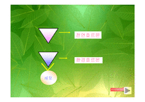 [환경오염]환경호르몬 피해와 대책-13