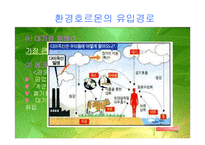 [환경오염]환경호르몬 피해와 대책-17