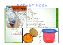 [환경오염]환경호르몬 피해와 대책-18
