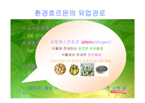[환경오염]환경호르몬 피해와 대책-20