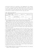[여성복지]외국의 여성복지서비스의 비교분석 및 논의-7