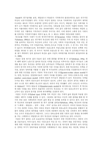[여성복지]외국의 여성복지서비스의 비교분석 및 논의-8