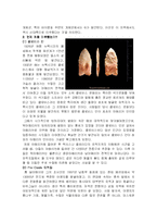 아메리카 대륙은 언제 누구에 의해서 처음 점유되었나?-3