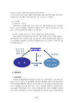 (사업계획서) 노인을 대상으로 한 노인 전문 포털 사이트-18