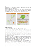 바이러스, 해킹, IDS, FIREWALL 조사-9
