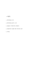 레미제라블 서평 (레미제라블 줄거리소개 및 장발장 인물평가 및 레미제라블 독후감)-2