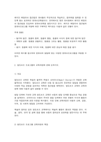 영유아프로그램개발과평가 레지오 에밀리아 접근법 발도르프 프로그램-6