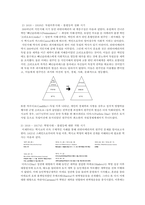 시대에 따른 라틴아메리카 사회구조의 변화와 원주민 갈등 문제 - 멕시코를 중심으로-4